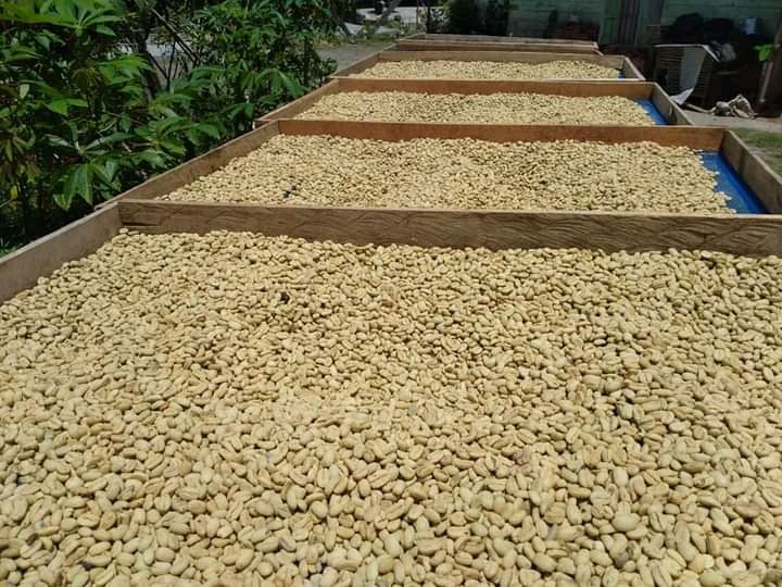 Wet processing image 2